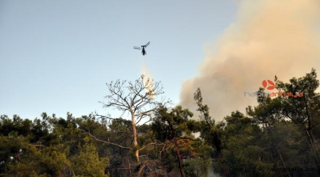 Kemer'de orman yangını !