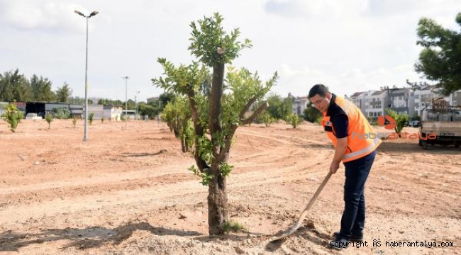 Kepez'e 3.2 milyon metrekare yeşil alan