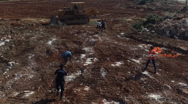 Kesilen zeytin ağaçları ortalığı savaş alına döndürdü 