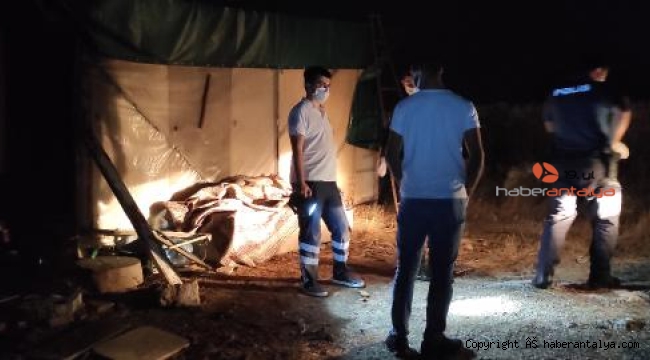Köpeğin havlamasıyla baraka önündeki kanepede ölü bulundu