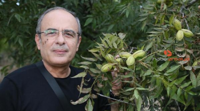 Rus iş insanından 300 dönüme 'pikan' yatırımı