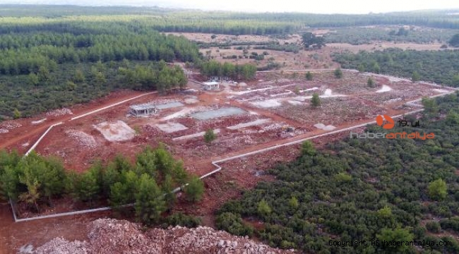 Sokak hayvanlarına 21 milyonluk merkez