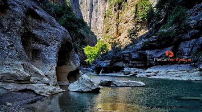 Yılmaz Sevgül, fotoğraf kampında