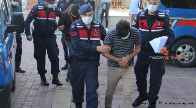 Alanya'da avokado hırsızlıkları devam ediyor