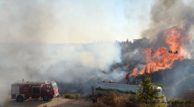 Antalya'da makilik yangını