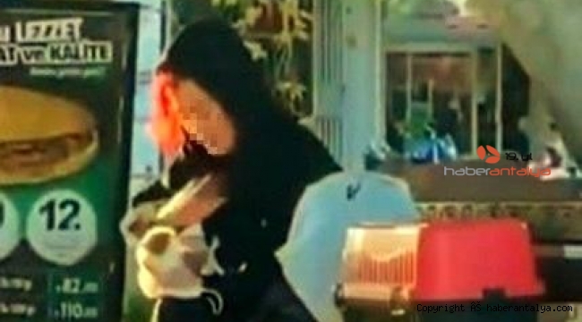 Hamster'e tokat ve ısırık cezasız kalmadı