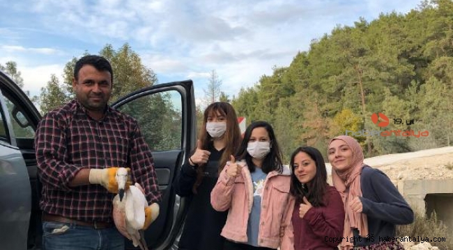 Kanadından vurulan flamingoya evlerinde müdahale ettiler