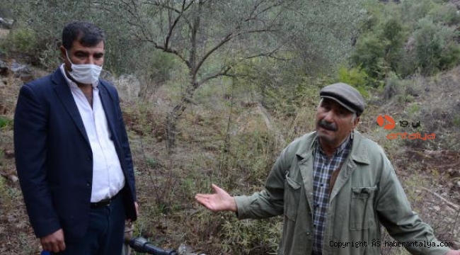Kuyuya düşüp ölen eşeği için 'Arabayı her yerde bulurum ama eşeği bulamam' diye üzüldü