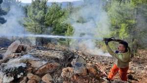 Manavgat'ta yanan orman alanında kaçak kesim