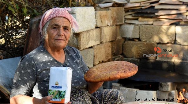 Muratpaşa, mısır unundan ekmek yaptı