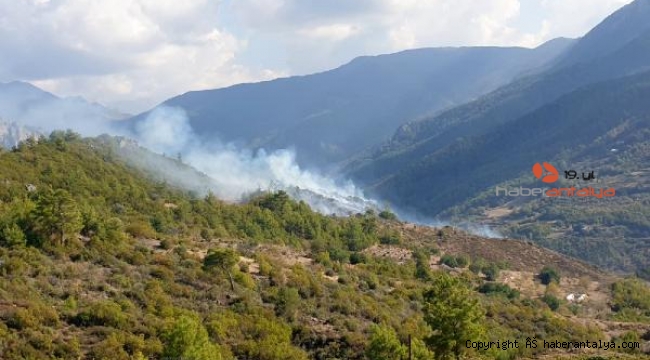 Özel ağaçlandırma sahasında yangın çıktı 