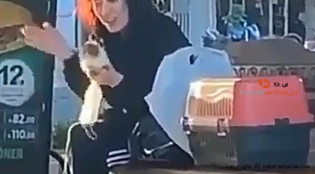 Sokak ortasında ilginç anlar !