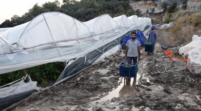 Yolu kapatan komşu mağdur etti iddiası