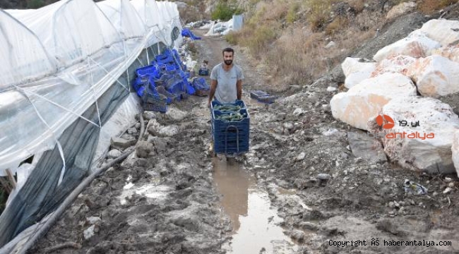 Yolu kapattığı iddia edilen komşu: Tapulu arazim işgal edildi
