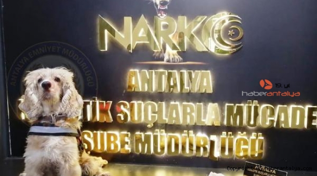 3 kilo eroin ele geçirildi: 3 tutuklama
