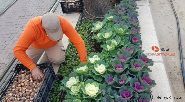 Antalya caddelerine bahar erken geldi 