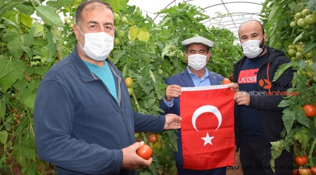 Başpehlivanlar domatese sahip çıktı !