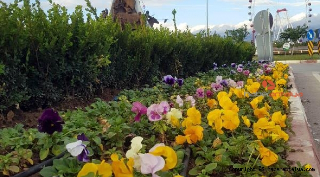 Büyükşehir'in çiçekleri bahar havası yaşatıyor
