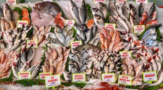 'Çiftlik balığında plastik birikimi doğal ortamdaki balıktan daha az'
