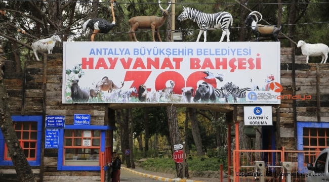 Hayvanat Bahçesi ziyarete kapatıldı, sosyal tesisler faaliyetlerine ara verdi
