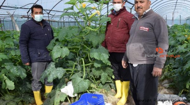 Kökce'den zarar gören üreticilere ziyaret