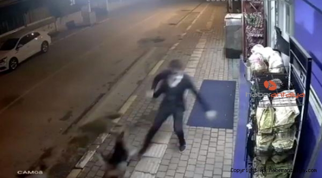 Köpeklerin saldırısından bakın nasıl kurtulmaya çalıştı ?