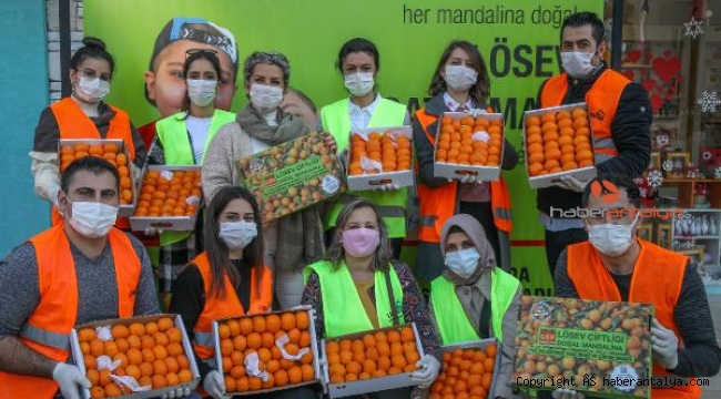 LÖSEV mandalinaları satışa çıktı