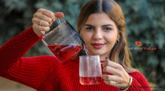 Bağışıklığın dopingi bitki çayları