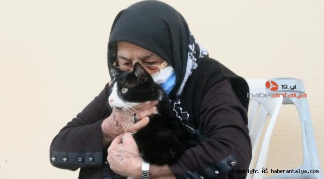 'Canım kadar sevdim' dediği kedisini magandalar tüfekle vurdu !