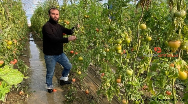 Çiftçi fırtına sonrası yaralarını sarıyor