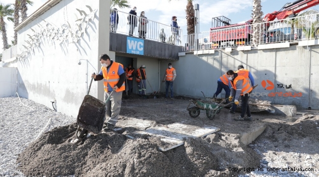Fırtına Konyaaltı'nda ağaçları yerle bir etti