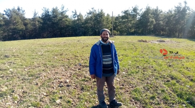 Gündoğmuş'ta çiftçiye dağıtılan ata tohumları çimlendi