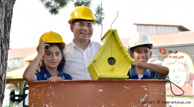 Kepez'den kuşlara özel evler