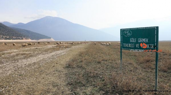 Kuruyan Avlan Gölü, koyun ve keçi sürülerine kaldı