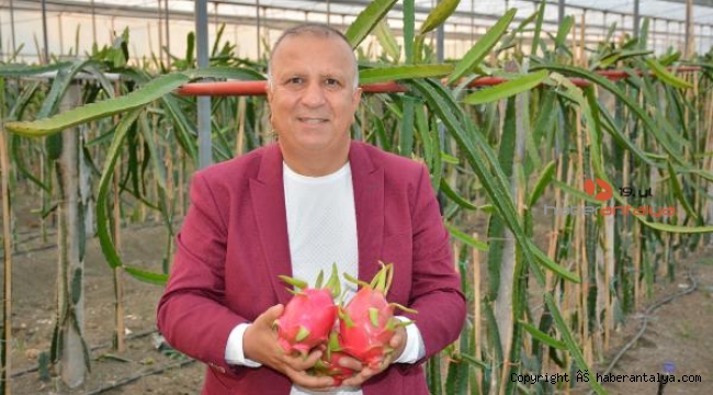'Manavgat tropikal meyve üretiminin başkenti olacak'
