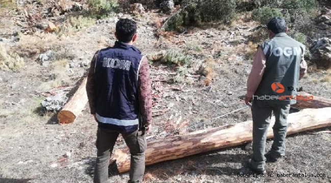 Orman ihalesinde usulsüzlük soruşturmasında 4 gözaltı