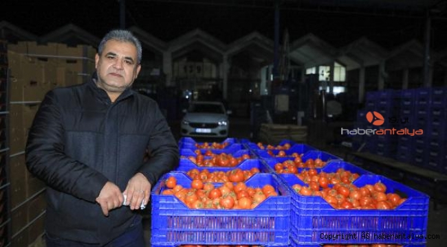 Sebze ve meyvenin fiyatlarında' korsan komisyoncu' etkisi