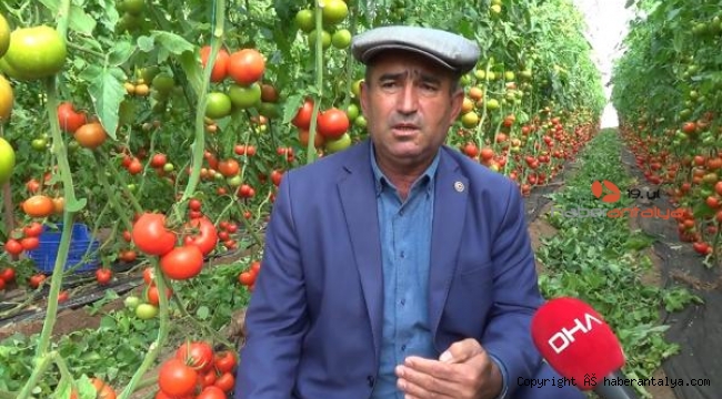 Tarladan sofraya artan fiyatlara üreticiden 'aracılar kazanıyor' tepkisi