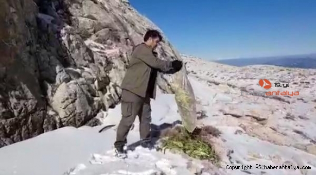 Yaban hayvanları için hayat oldular