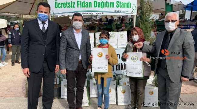 Yeni yılda bir fidan