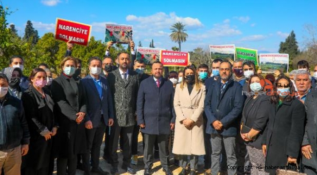 Ak Parti'den ağaç katliamına tepki