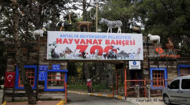 Antalya Hayvanat Bahçesi kapılarını ziyarete açıyor