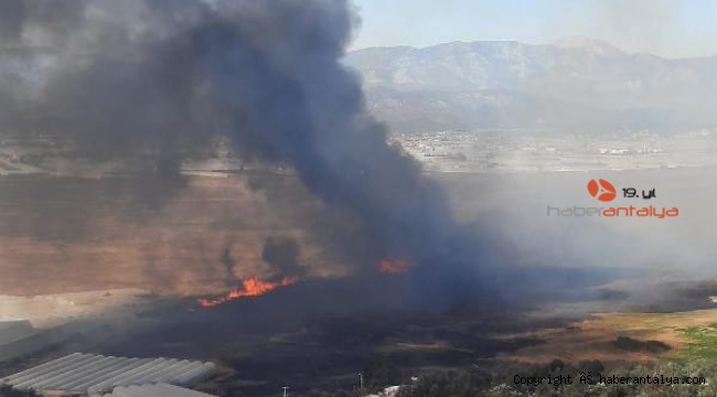 Antalya'da korkutan sazlık yangını