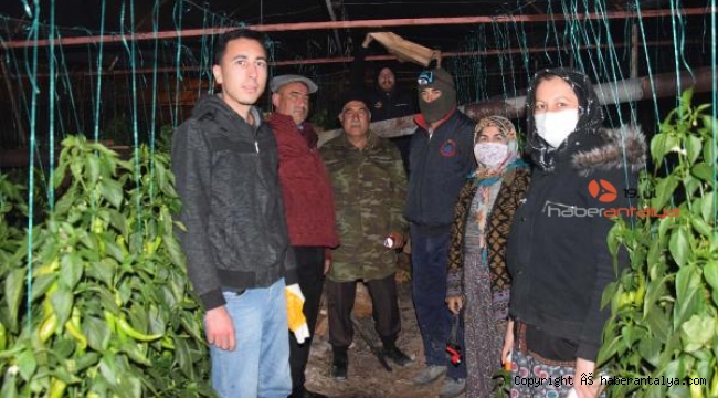 Antalya'da üretici don nöbetinde