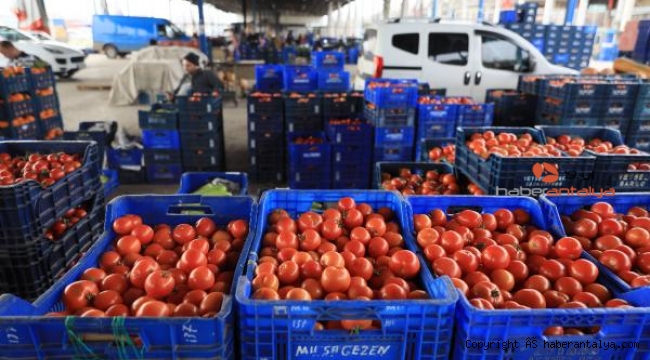 Antalya'dan dünyaya meyve ve sebze