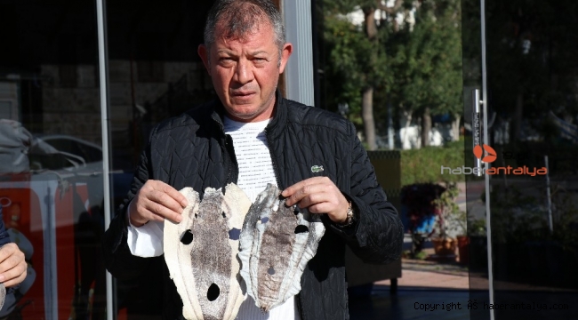 Balıkçıları canından bezdiren balon balığı derisi ayakkabı, cüzdan, çanta olacak