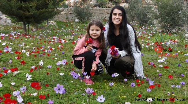 Antalya'ya bahar çok mu erken geldi ?