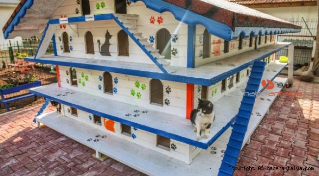 DokumaPark'a 'Kedi Apartmanı'