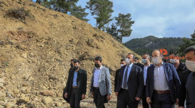 Dört siyasi parti, ağaç katliamına karşı birleşti