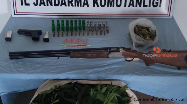 Jandarmadan uyuşturucu operasyonu